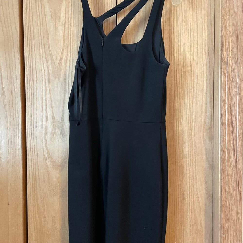 Halston Heritage black form fitting dress.